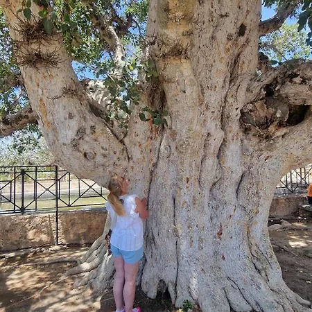 アパート Awaken Your Divine Self Sacred Self Discovery Retreat In Cyprus アヤナパ