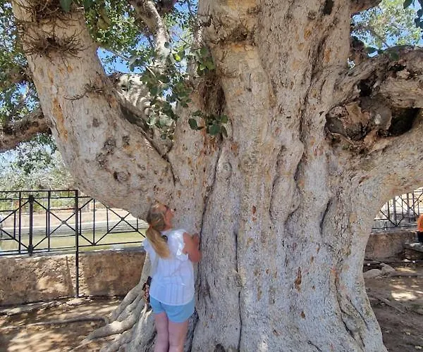 アパート Awaken Your Divine Self Sacred Self Discovery Retreat In Cyprus アヤナパ