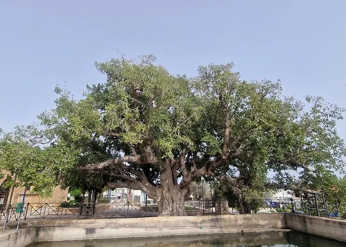 Awaken Your Divine Self Sacred Self Discovery Retreat In Cyprus *