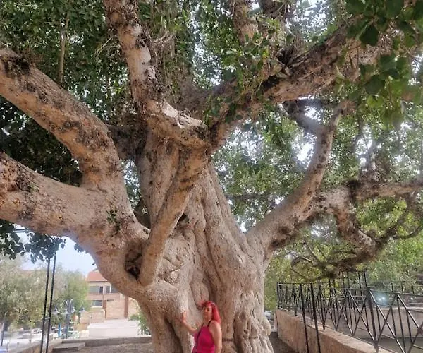 Awaken Your Divine Self Sacred Self Discovery Retreat In Cyprus アヤナパ