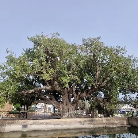 Awaken Your Divine Self Sacred Self Discovery Retreat In Cyprus *