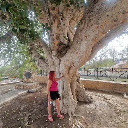 شقة Awaken Your Divine Self Sacred Self Discovery Retreat In Cyprus *