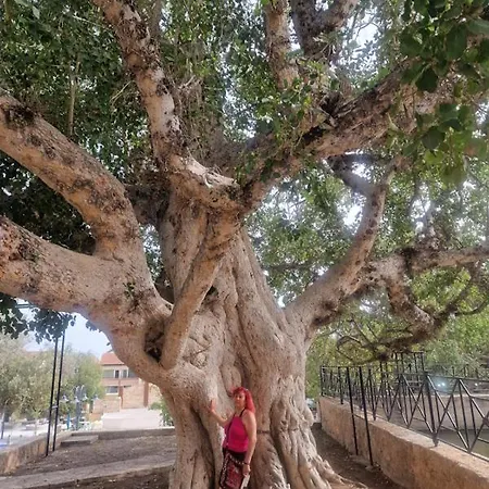 Awaken Your Divine Self Sacred Self Discovery Retreat In Cyprus أيا نابا