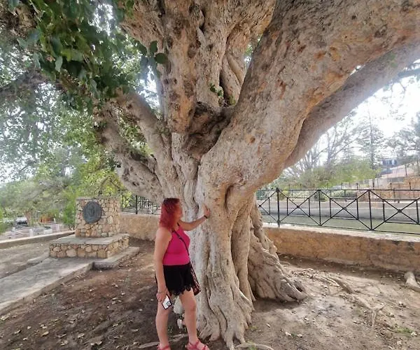 아파트 Awaken Your Divine Self Sacred Self Discovery Retreat In Cyprus *